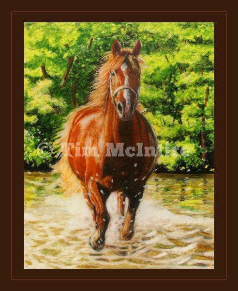Chestnut Splash