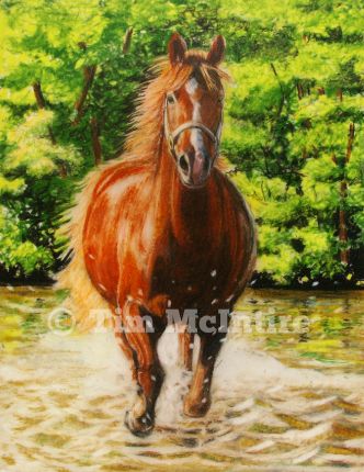 Horse crossing a creek