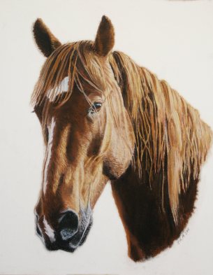 Completed pastel painting
